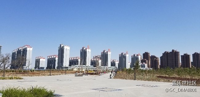随拍