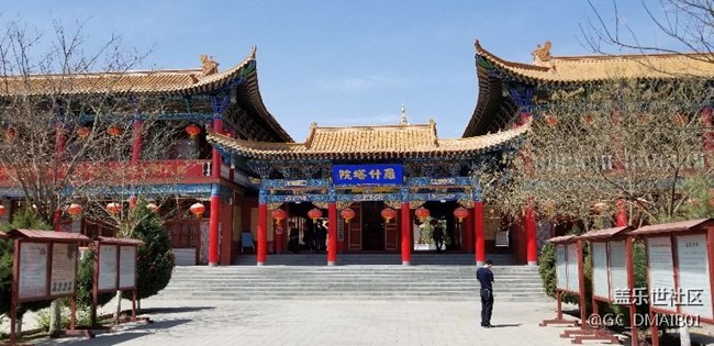随拍