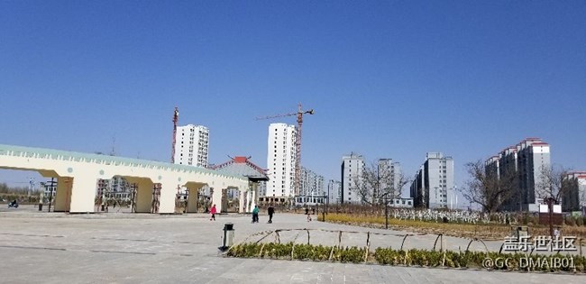 随拍