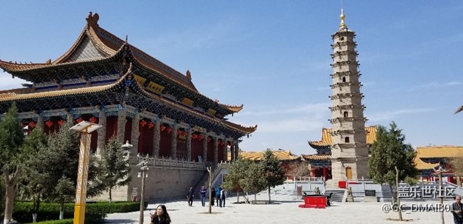 随拍