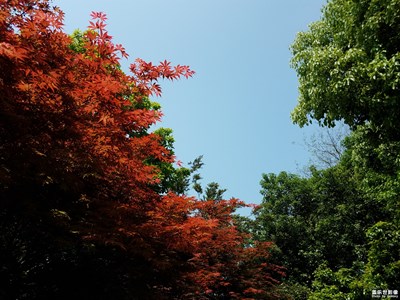 钱塘江岸