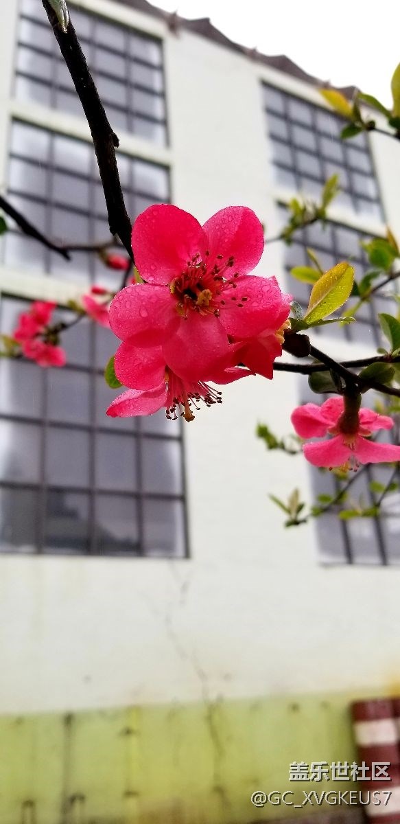 随便拍滴