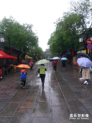 【人间四月天】都说春雨最醉人