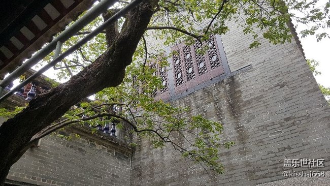 随拍