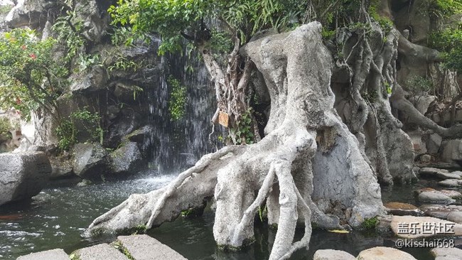 随拍