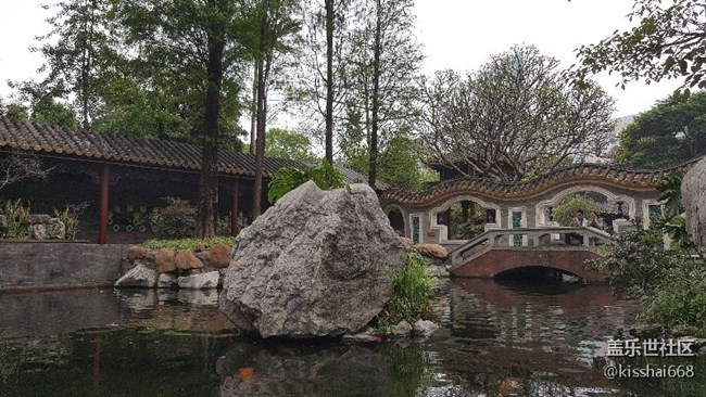 随拍