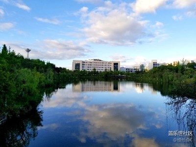 雨后随拍