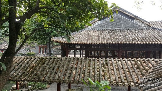 随拍