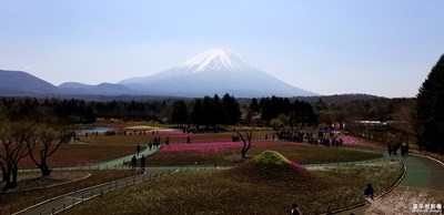 随手拍