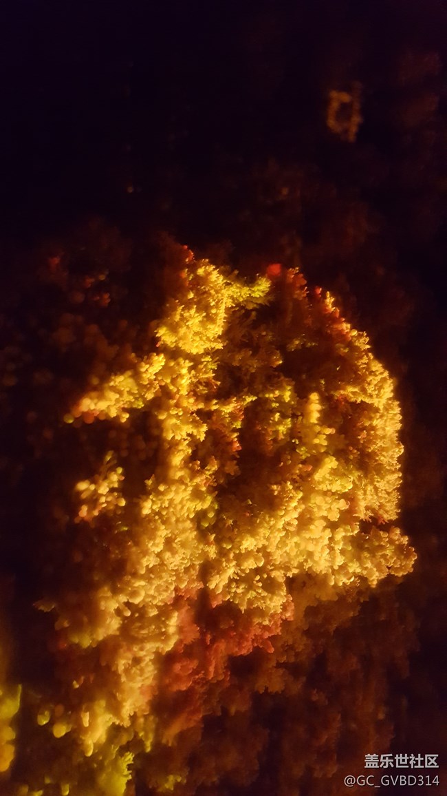 拍照