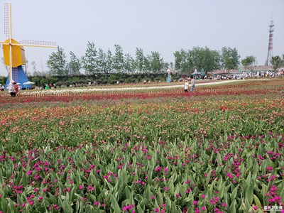 五一去哪玩