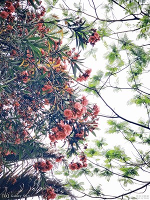 【中国最美瞬间】一些乱拍的图