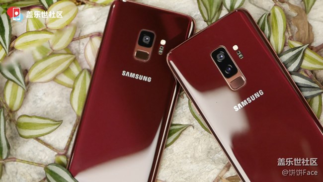 放肆红！三星Galaxy S9丨S9+勃艮第红美图赏