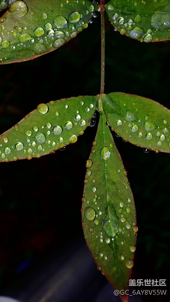 雨后的故事