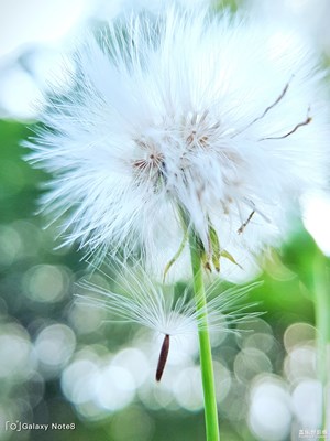 【中国最美瞬间】一些乱拍的图2