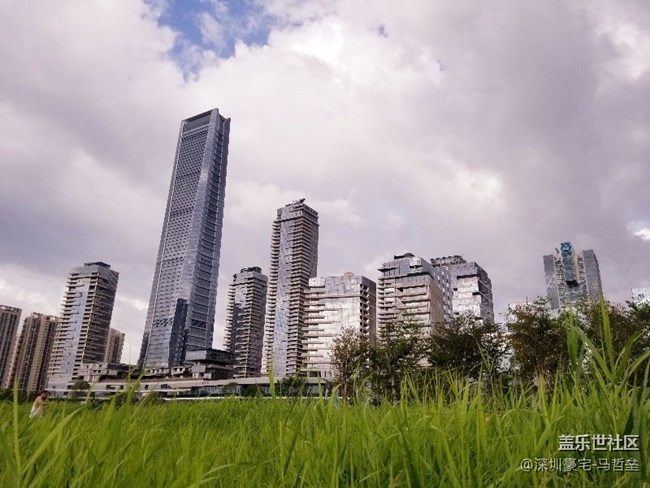 美图一波！深圳人才公园