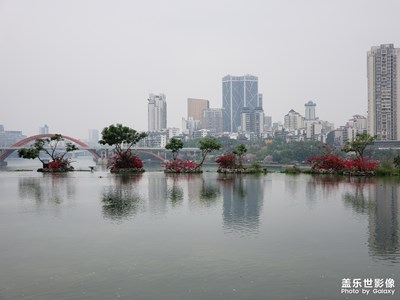 紫荆之城