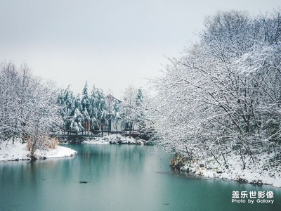 【中国最美瞬间】西溪雪景