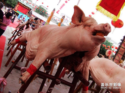 【中国最美瞬间】+“摆猪羊”