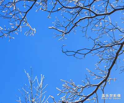 【中国最美瞬间】+黄山冬雪