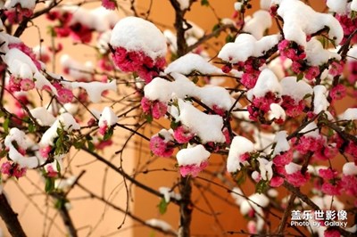 【中国最美瞬间】+小区的雪