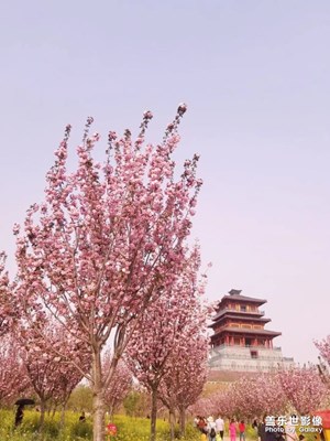 (中国最美瞬间)+樱花园s8拍摄