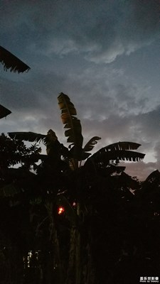 随拍