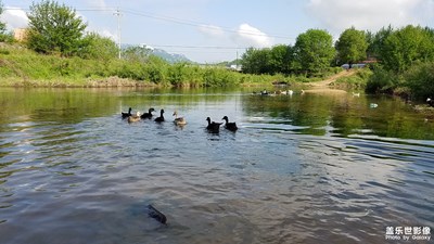 大圈河