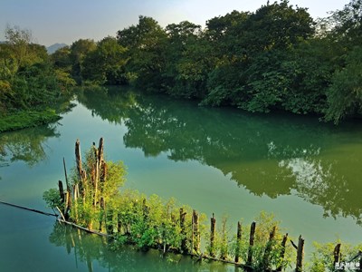 【中国最美瞬间】湿地一角