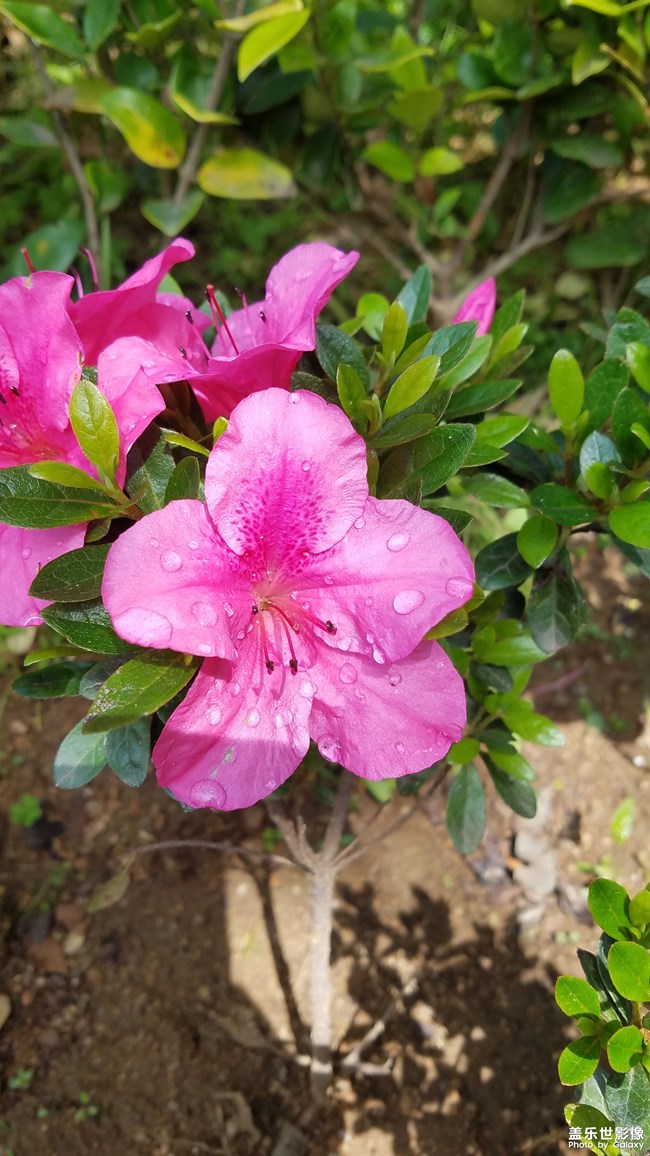 随拍