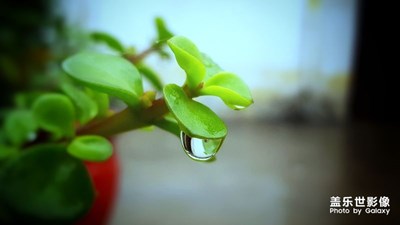 【中国最美瞬间】+清新雨露