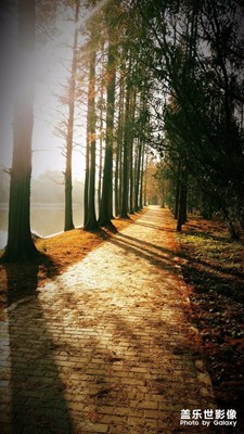 【中国最美瞬间】斑斓