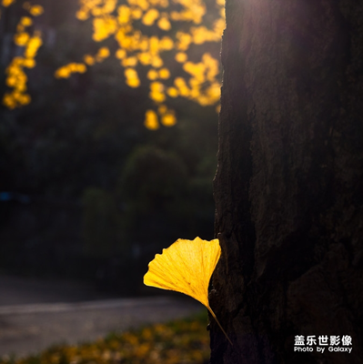 【中国最美瞬间】+像是黎明前的一站孤灯