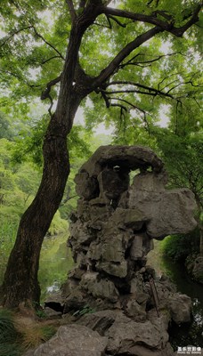 【中国最美瞬间】+假山