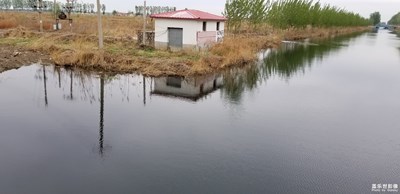 生活随拍