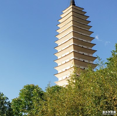 【中国最美瞬间】+绿树掩盖下的塔