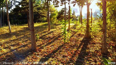 【中国最美瞬间】+身边的风景