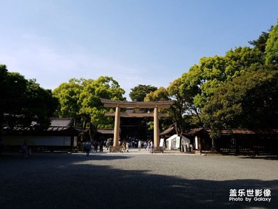 一大家子的日本之旅