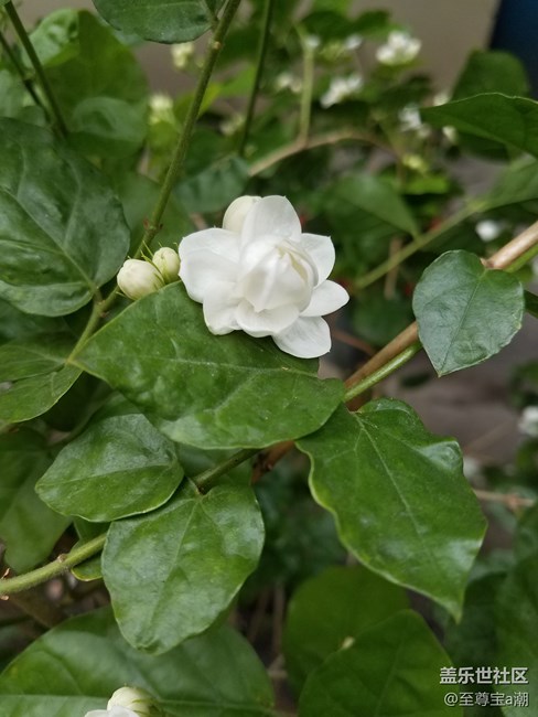 随手拍
