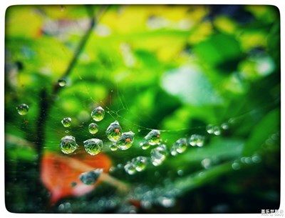 雨露