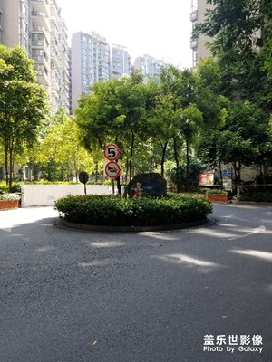 风景