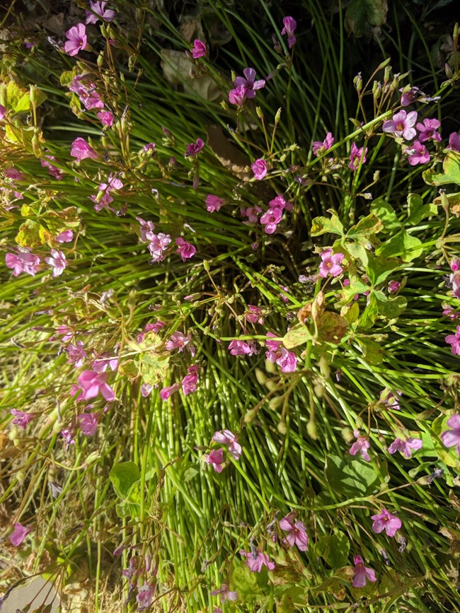 Note 8 拍照  字数补丁