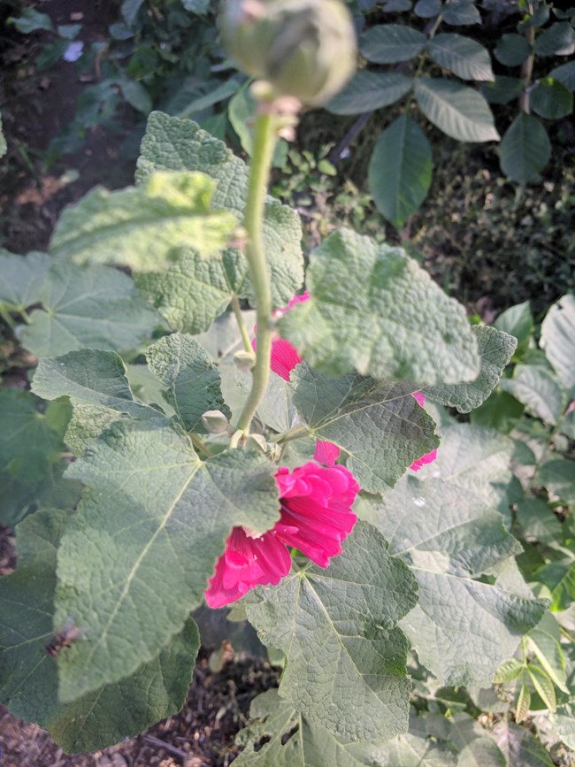 Note 8 拍照  字数补丁