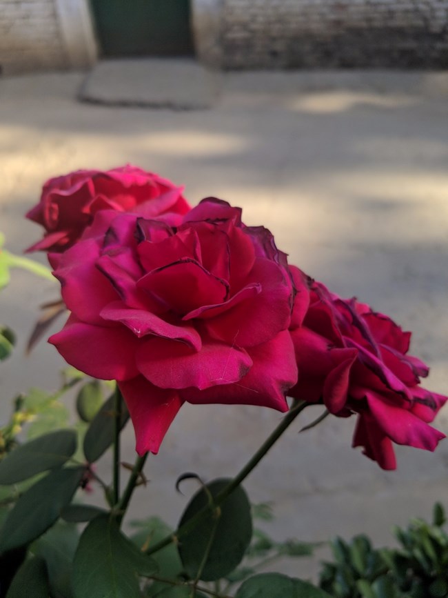 Note 8 拍照  字数补丁