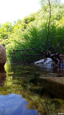 游玩/水秀