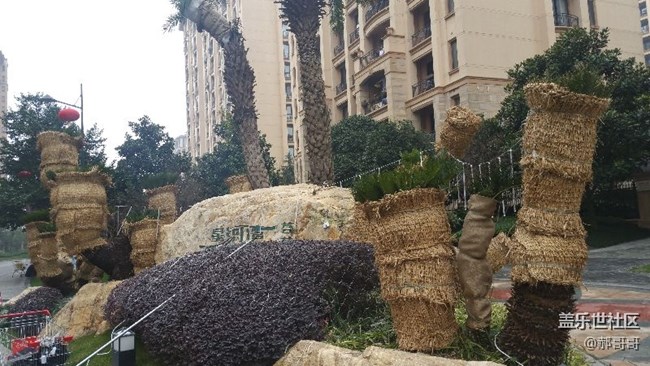 相机还是不错的