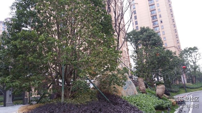 相机还是不错的