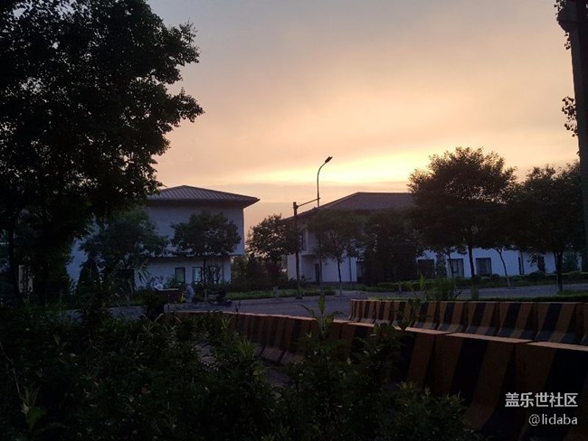 雨后随手拍