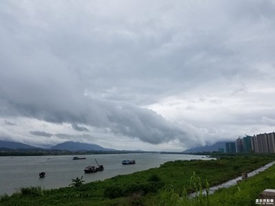 风雨欲来