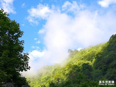 风景